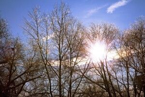 На вихідні передають теплу весняну погоду без дощів і снігу