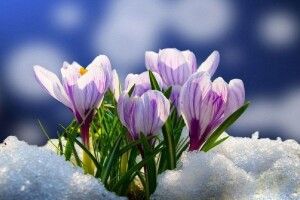 Якою буде погода на Волині