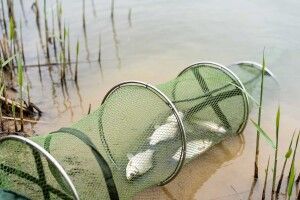 На волинських озерах «полювали» на браконьєрів