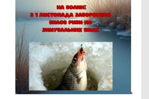 На Волині повідомили, де можна ловити рибу попри заборону