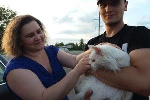 Галицький котисько Льова переїжджає з Луцька до Ковеля