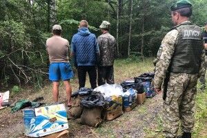 Рівненчани у Чорнобильській зоні збирали чорницю: гроші не «фонять»... (Фото, відео)