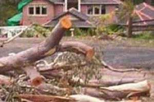 БУДІВЕЛЬНИКИ ПЛАНУЮТЬ НАСТУП НА ПАРКИ