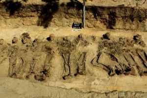 На Маневиччині знайшли останки польських легіонерів