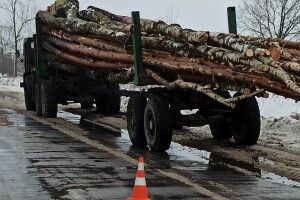 На Рівненщині під колесами лісовоза загинула велосипедистка (Фото)