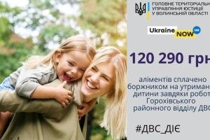 На Горохівщині «вибили» із боржника понад 120 тисяч гривень аліментів