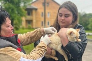 Сьогодні у наймолодшому місті на Волині тваринам робитимуть безкоштовне щеплення від сказу