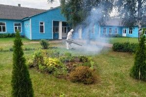 Понад тисяча потерпілих: яка загроза чекає на волинян під час відпочинку на природі