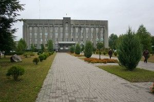Перший заступник мера, чиновники та кілька сільських голів: хто йде на голову Камінь-Каширська