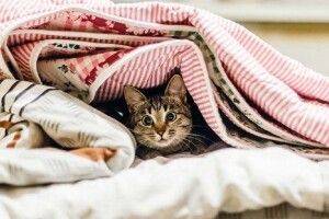 666 – саме стільки будівель у тріскучі морози залишились у Харкові без тепла