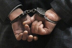 Директора Шацького національного парку підозрюють у вчиненні злочинів 