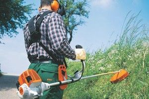 Литовців здивувала на Волині масова вулична торгівля та некошені газони