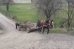 Підвода перекинулась на дітей: загинула 2-річна дівчинка, її 4-річний брат в реанімації