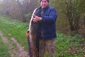 На гачок рибалки попався 26-кілограмовий сом 