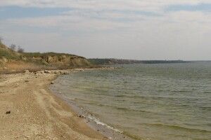 На Одещині величезна рибина втопила рибалку