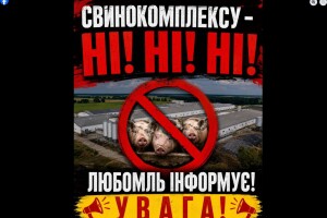 Громада на Волині проти будівництва свинокомплексу 