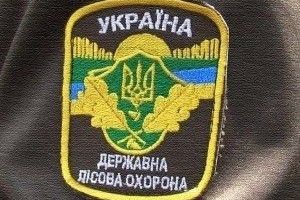 На Камінь-Каширщині затримано вантажівку з краденою деревиною