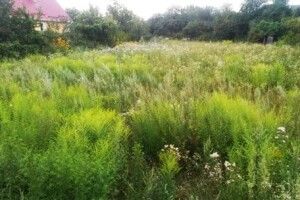 У Рожищах господарів будуть штрафувати за бур’яни на городі