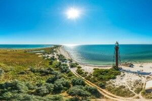 На окупованому острові Джарилгач пожежі знищили всю заповідну зону