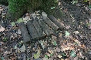 У Луцькому районі грибник натрапив на купу снарядів