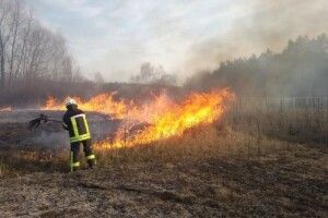 На Любешівщині вигоріло 3 гектари трави