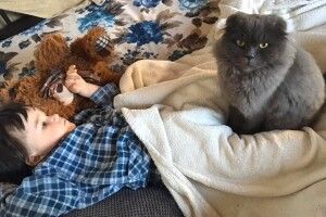 Лучанка публічно прокляла злодія, який поцупив домашнього улюбленця її сім'ї