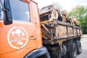Цуманські лісівники підкинули дровенят для луцьких Сірків, Тузиків та Барбосів (фото)