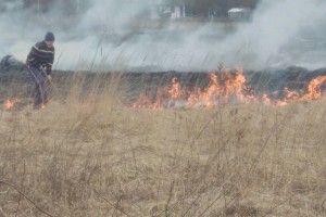 На Волині рятувальники виявили чоловіка, який спалював суху траву