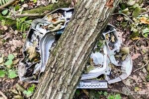 На Рівненщині у лісовому масиві виявили бойову частину крилатої ракети