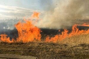 На територіях Пнівненської та Броницької сільрад горіли торфополя
