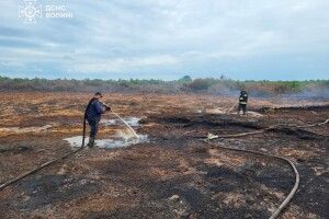 На Волині попри зливи не можуть приборкати масштабні пожежі