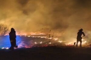 На Волині за добу ліквідували три масштабні пожежі в екосистемах