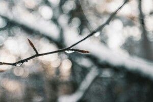 Якою буде погода на Волині