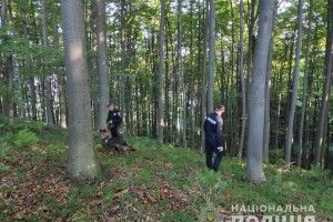Пішли збирати ягоди та зникли: загін з копів й добровольців шукає групу дітей