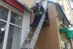 Бійці ДСНС врятували маленького верхолаза (Фото)