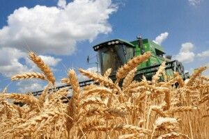 На Волині обвалилось виробництво агропродукції
