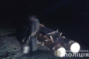 На Рівненщині злапали лісокрадунів із Великої Клецьки та Залізниці (фото)