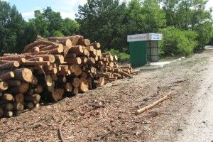 «Щасливої дороги!»: на Волині автобусну зупинку окупували лісівники