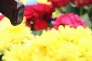 На Рівненщині попрощалися з батьком двох дітей, який поліг біля Бахмута (Фото)