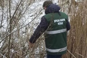У річці на Рівненщині текла червона вода: екоінспекція визначила причину