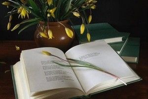 Майбутнім економістам потрібна й поезія