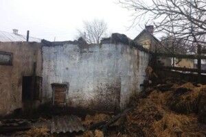 На Рівненщині згорів хлів зі свинями  