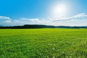 Громаді на Волині можуть повернути земелю вартістю 80 мільйонів гривень