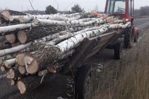 Під Сарнами тракторець тягнув «Варшавкою» воза з «лівою» березою 