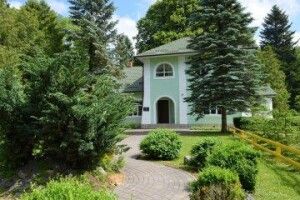 На Волині лісівники створили новий дендропарк