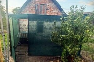У Львові 43-річний чоловік жорстоко вбив собаку ножем та вилами
