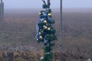 Бійці на передовій показали «головну ялинку країни» (Фото)
