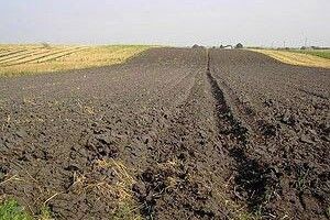 Волинь – одна із перших областей, де запрацює електронний фермерський реєстр