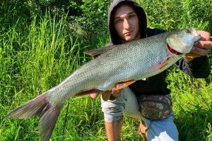 Волинянин упіймав гігантського жереха (Фото)