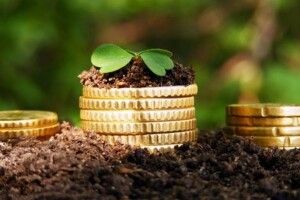 До місцевих бюджетів на Волині сплачено 364 мільйони гривень плати за землю